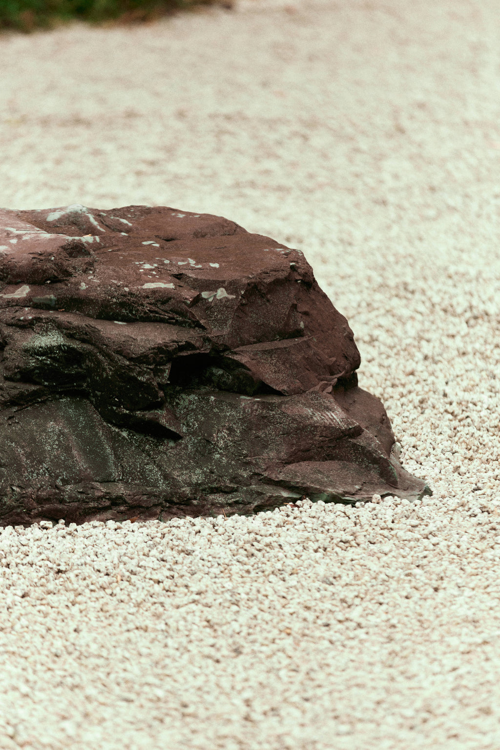 Alta/Nova Magazine – Chapter 0 (Limited Edition)