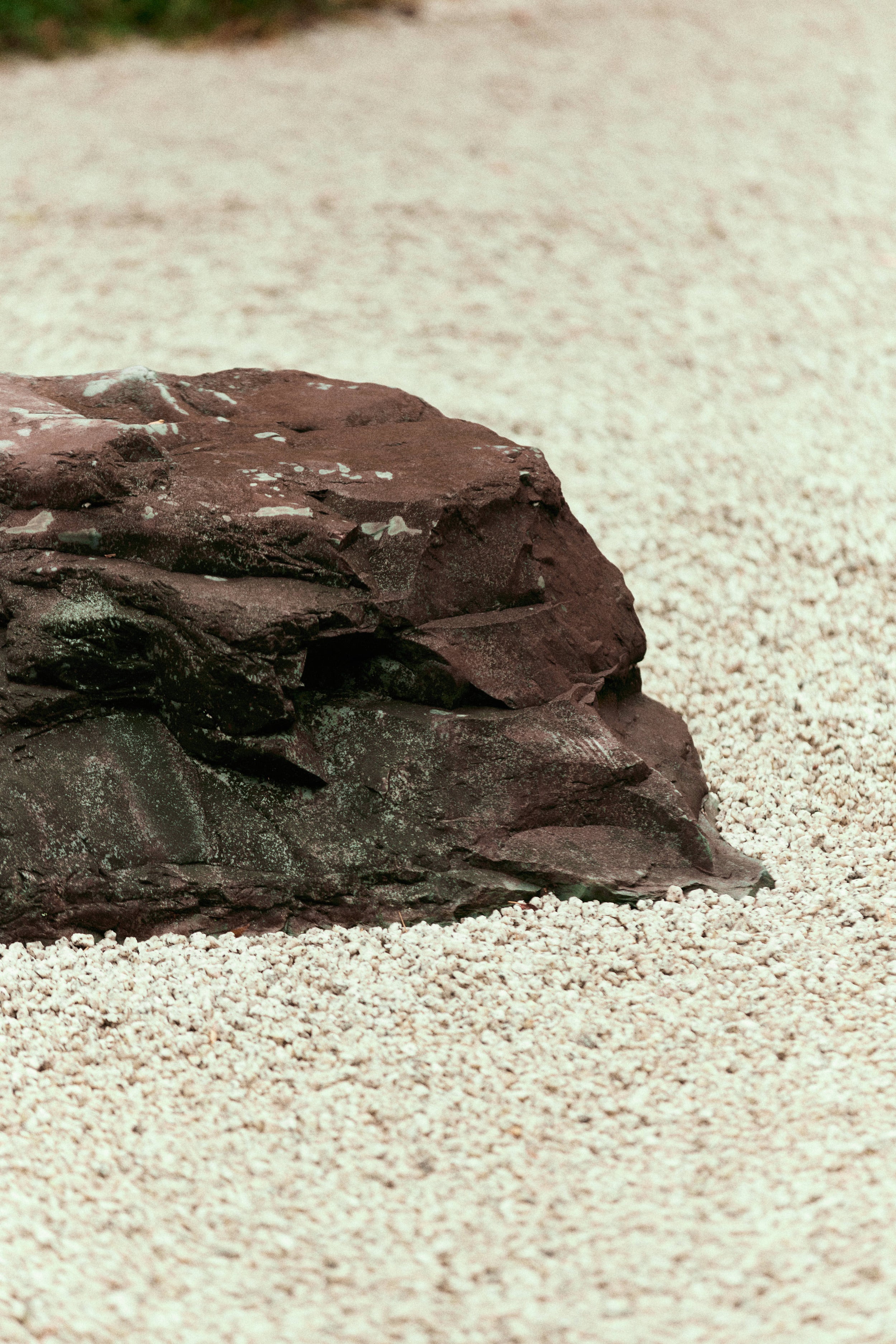 Alta/Nova Magazine – Chapter 0 (Limited Edition)