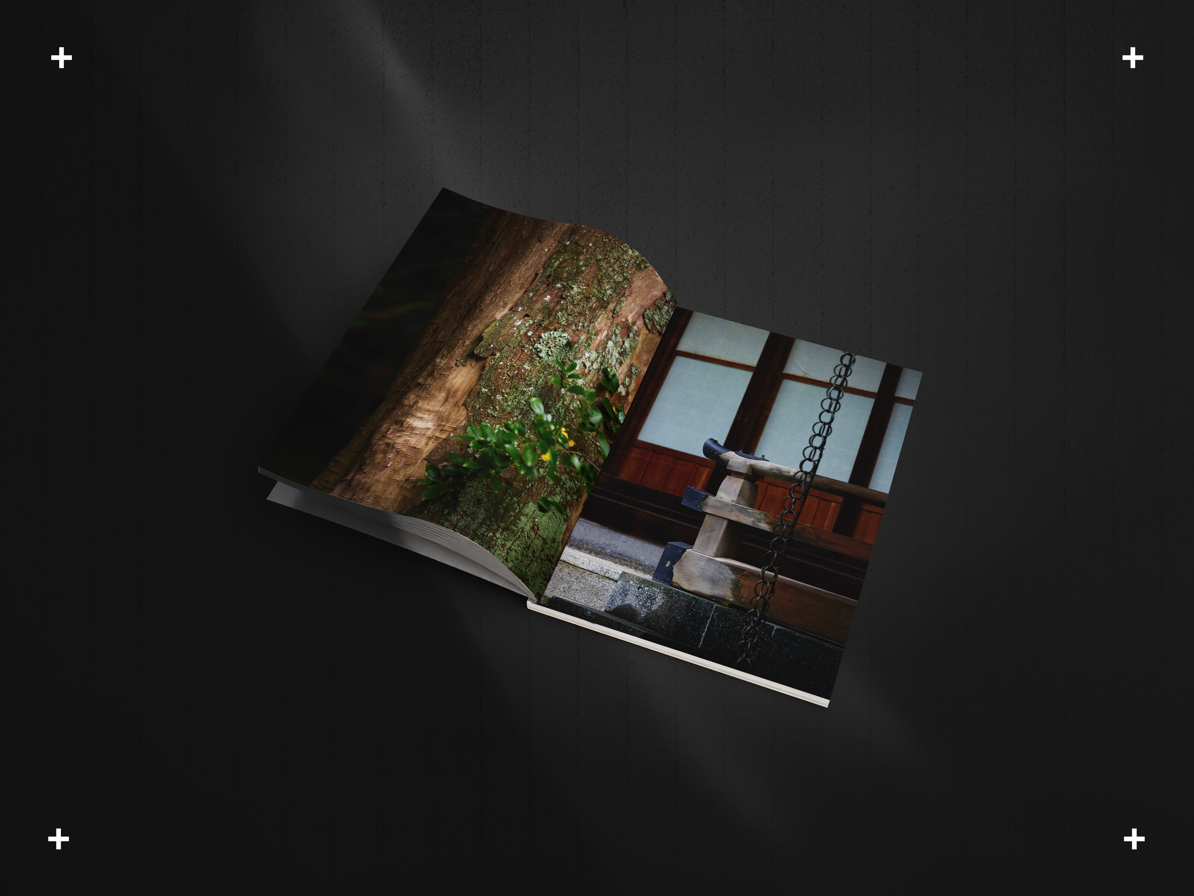 Alta/Nova Magazine – Chapter 0 (Limited Edition)