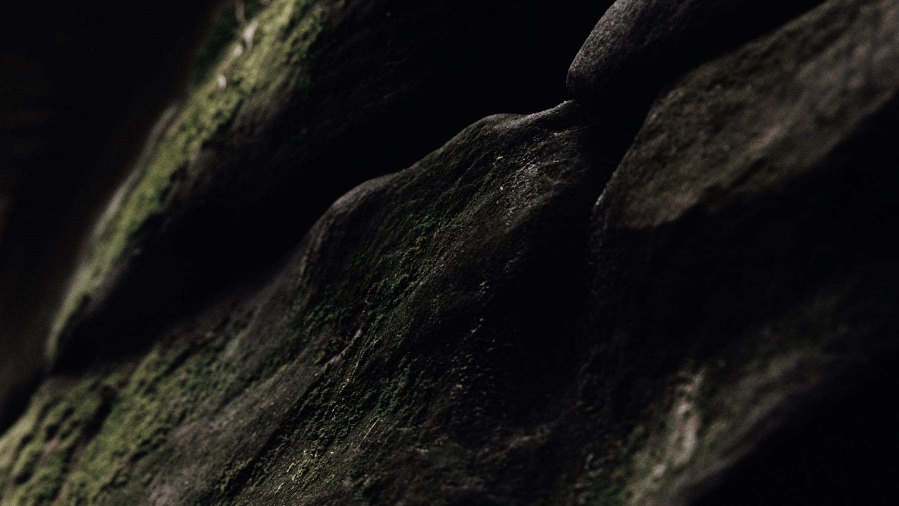 Chapitre 1 - Earth Movie